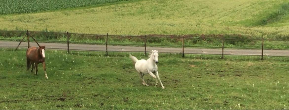 Appartamento In Cascina -La Cascinetta Di Ali- Roatto Экстерьер фото